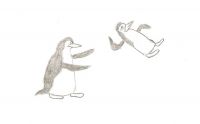 Ninja Penguins